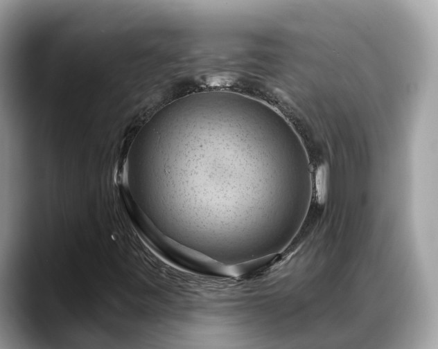 X0000088691443200706071510