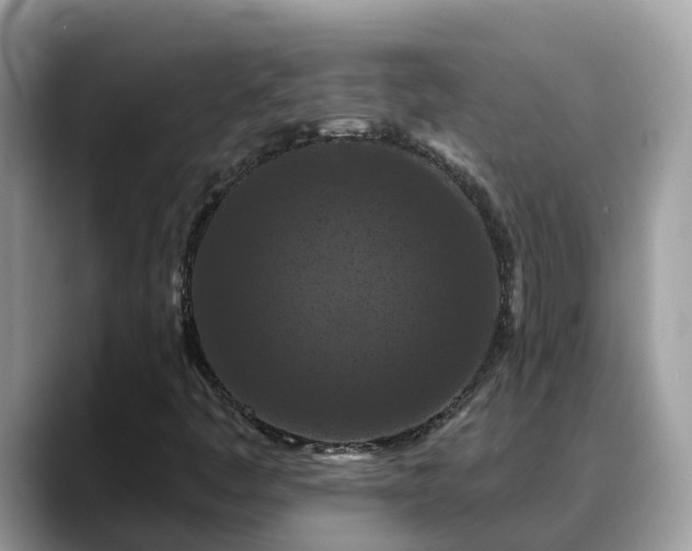 X0000088691445200706071510