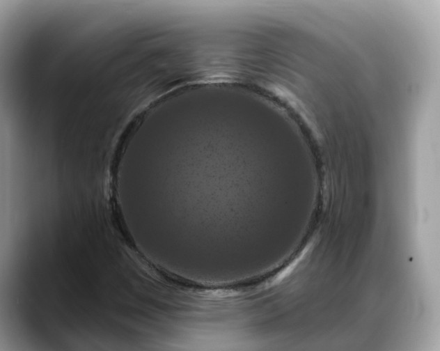 X0000088691449200706071510