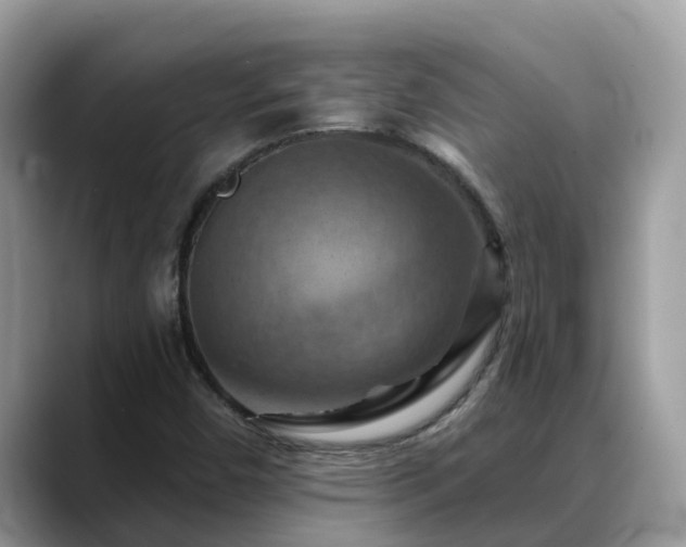 X0000088691450200706071510