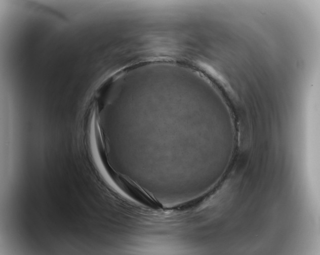 X0000088691453200706071510