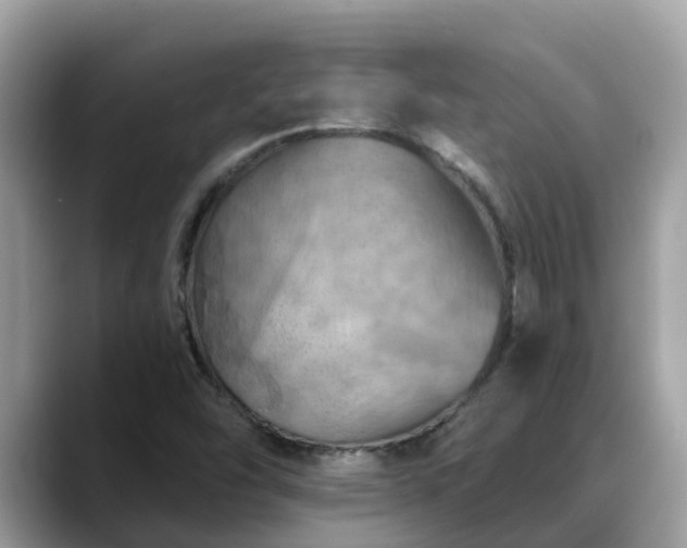 X0000088691454200706071510