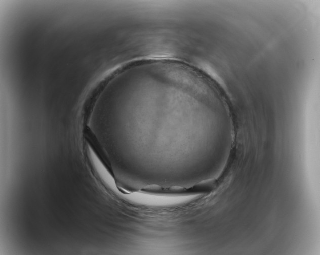 X0000088691456200706071510