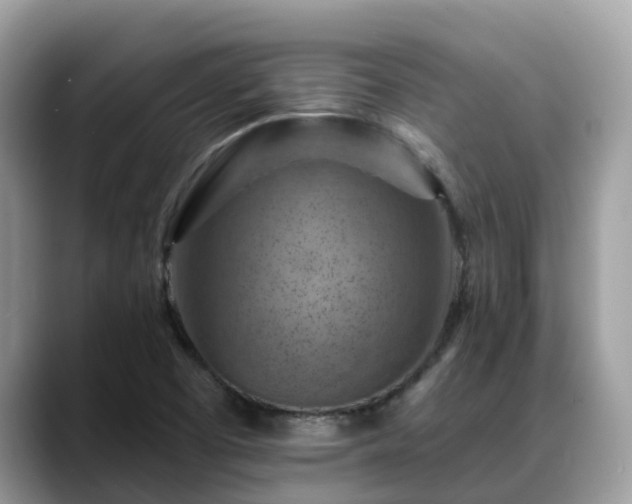 X0000088691457200706071510