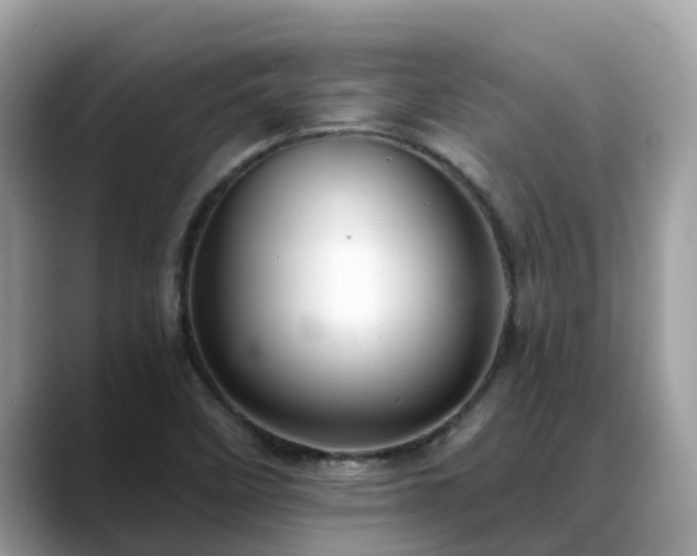 X0000088691458200706071510
