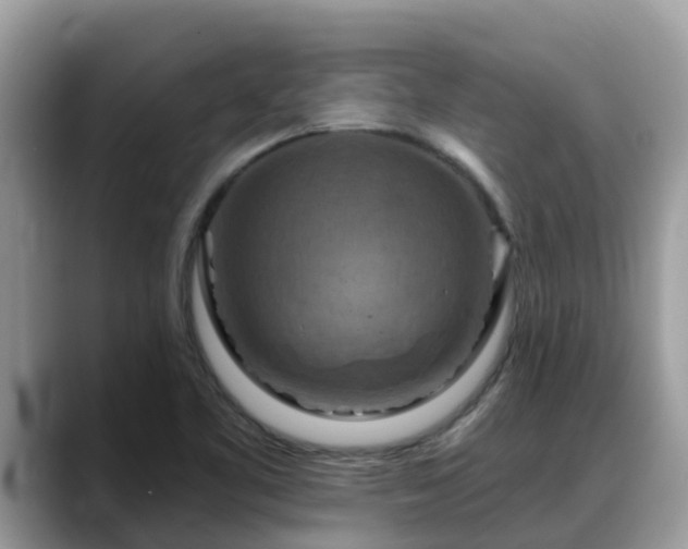 X0000088691461200706071510