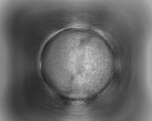 X0000088691462200706071510