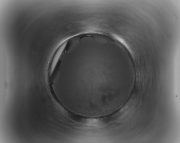 X0000088691463200706071510
