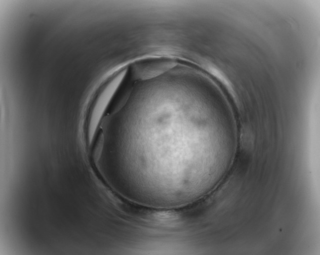 X0000088691464200706071510