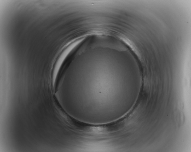 X0000088691465200706071510