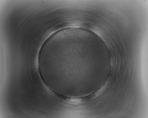 X0000088691466200706071510