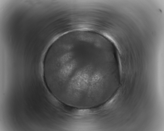X0000088691467200706071510