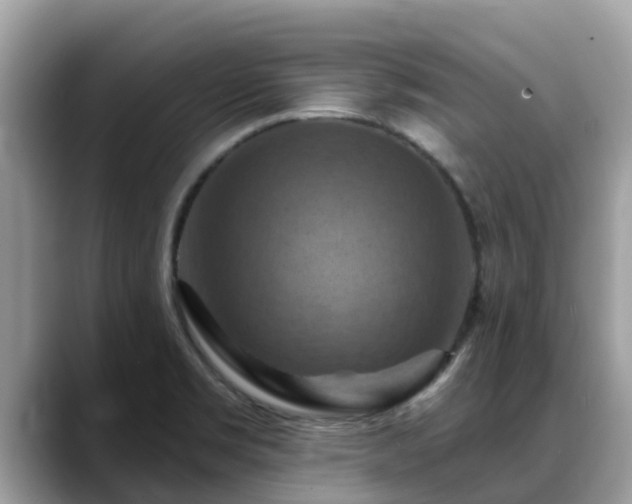 X0000088691469200706071510