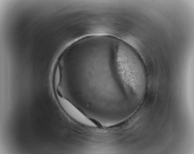 X0000088691472200706071510