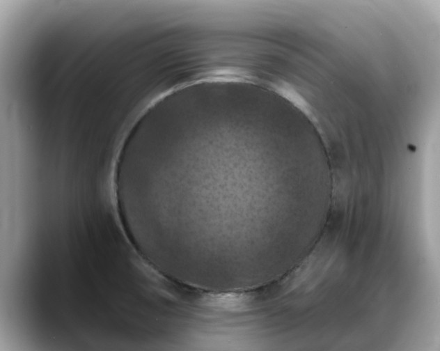 X0000088691474200706071510