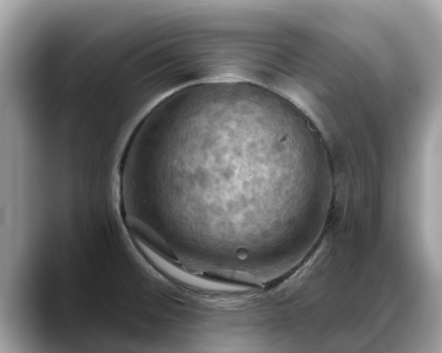 X0000088691476200706071510