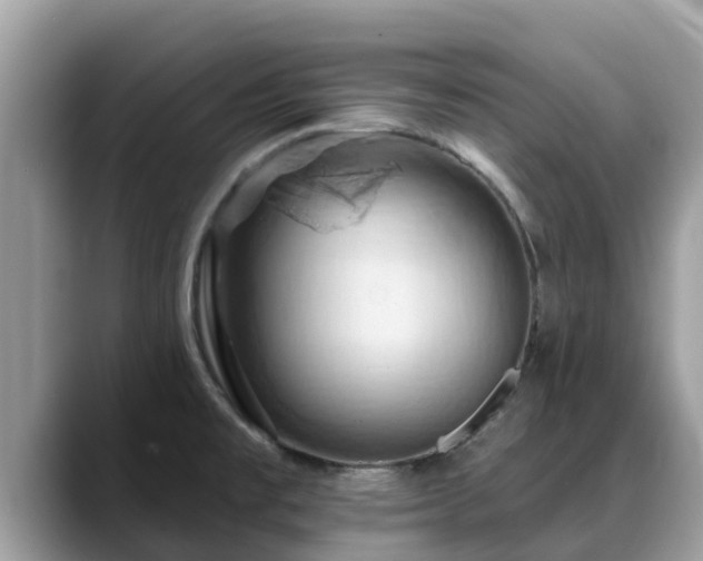 X0000088691477200706071510