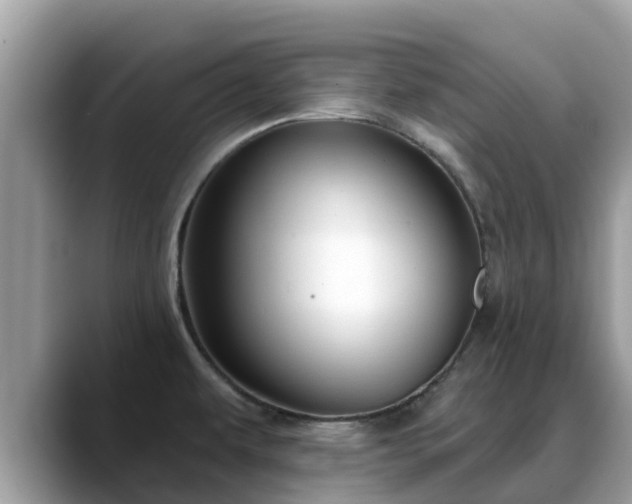 X0000088691479200706071510
