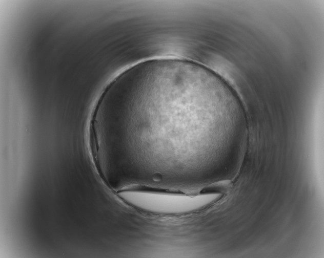X0000088691480200706071510