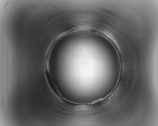 X0000088691481200706071510