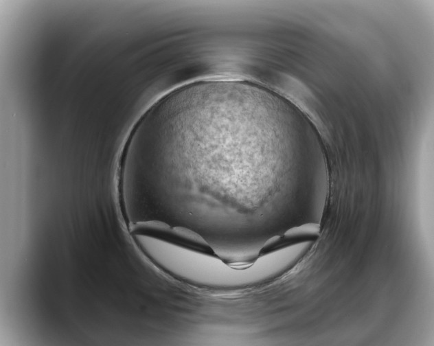 X0000088691484200706071510