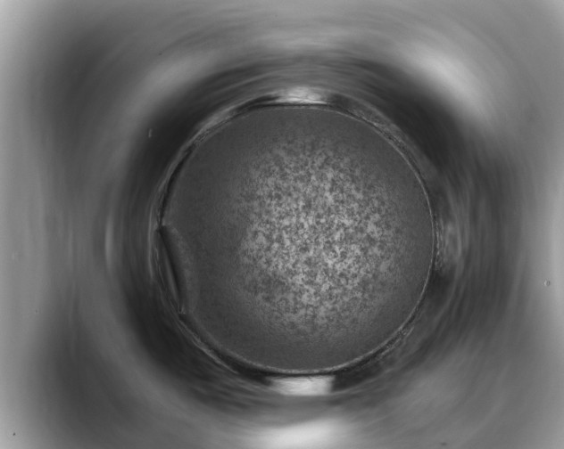X0000088691487200706071510