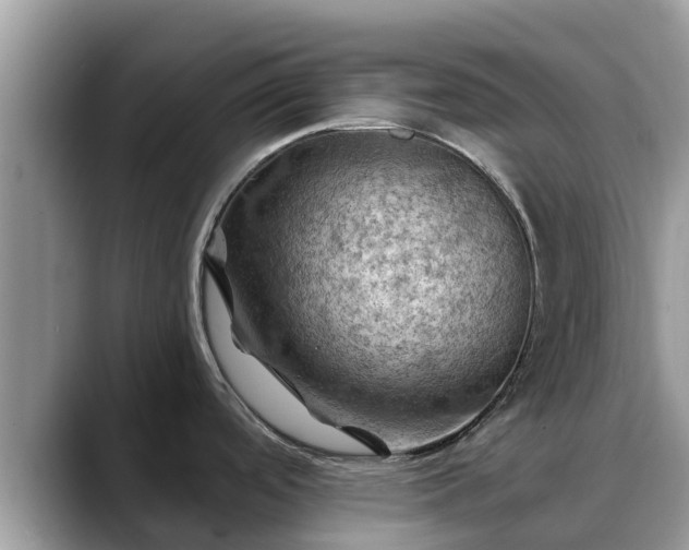 X0000088691488200706071509
