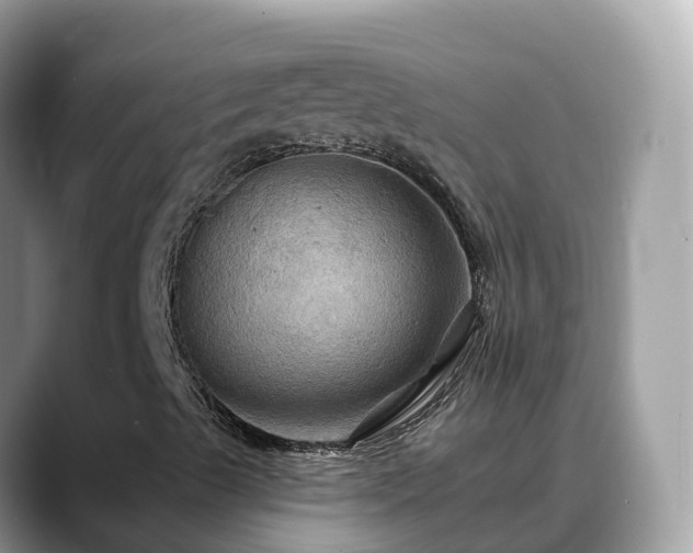 X0000088691489200706071509