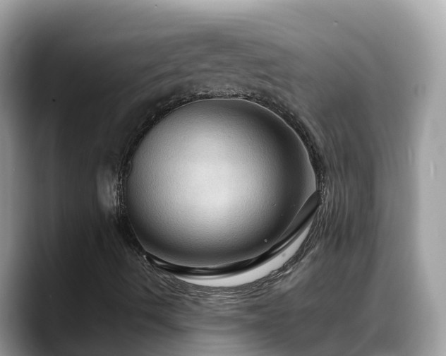 X0000088691490200706071509