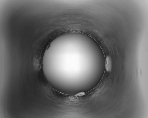 X0000088691491200706071509