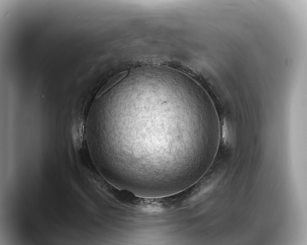 X0000088691492200706071509