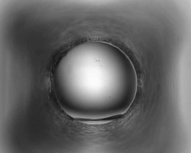 X0000088691493200706071509