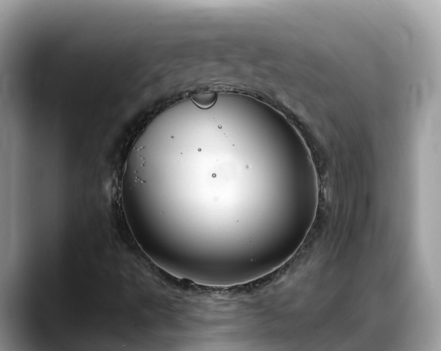X0000088691495200706071509