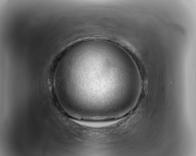 X0000088691496200706071509