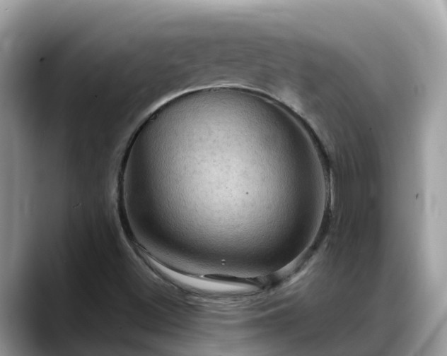 X0000088691500200706071509