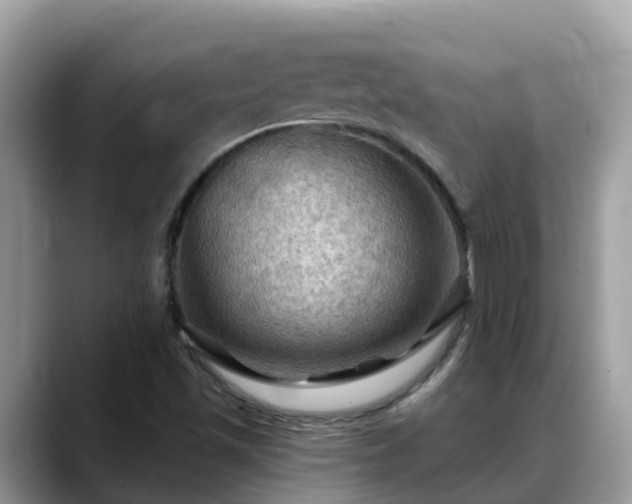 X0000088691501200706071509