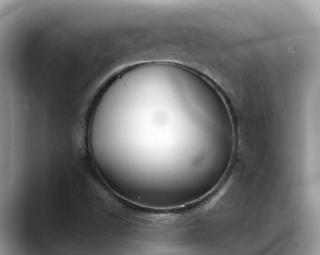 X0000088691502200706071509