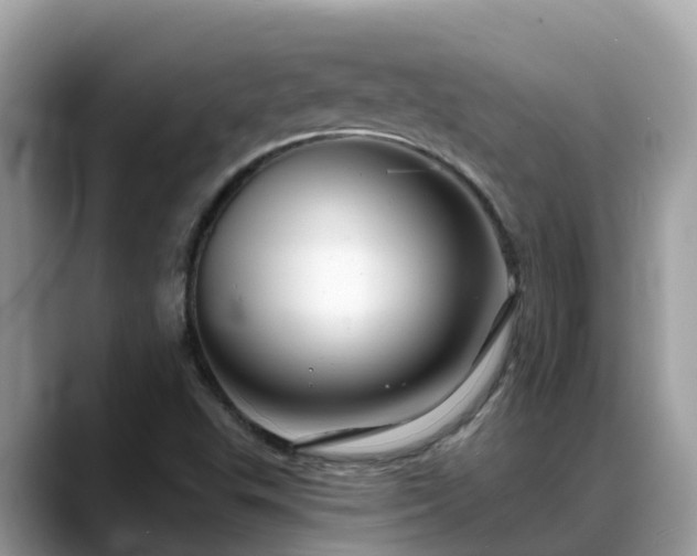 X0000088691503200706071509
