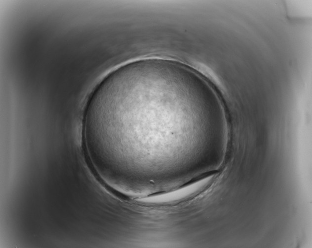 X0000088691504200706071509