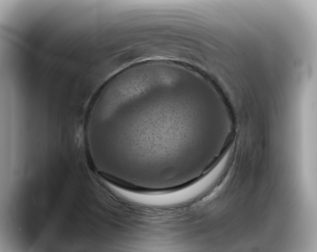 X0000088691505200706071509