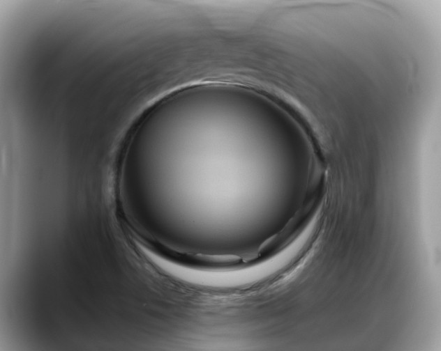 X0000088691506200706071509