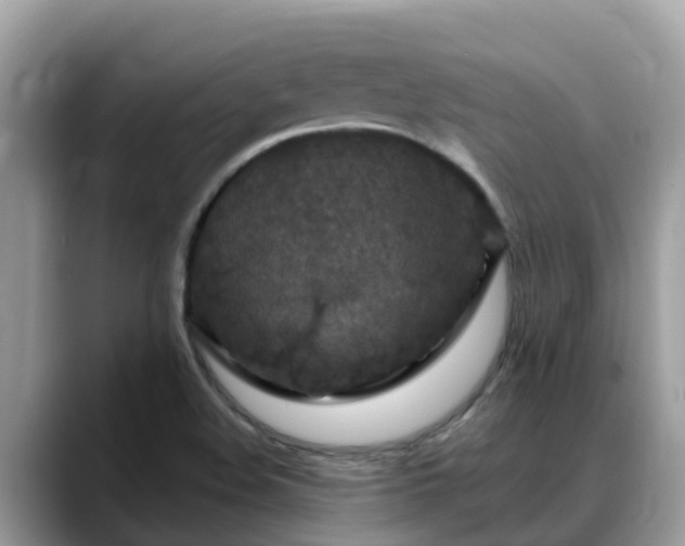 X0000088691508200706071509