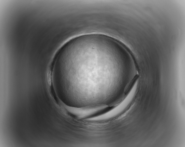 X0000088691510200706071509