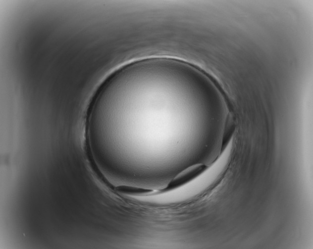 X0000088691511200706071509