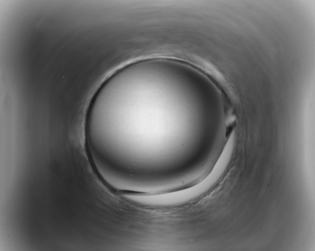 X0000088691512200706071509