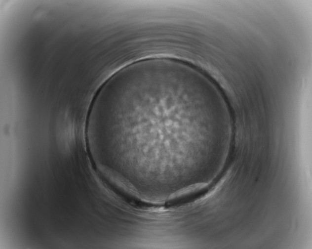 X0000088691513200706071509