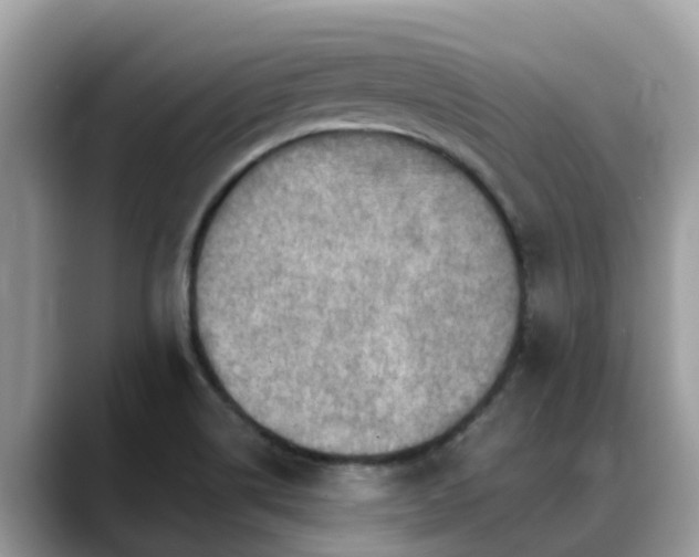 X0000088691514200706071509