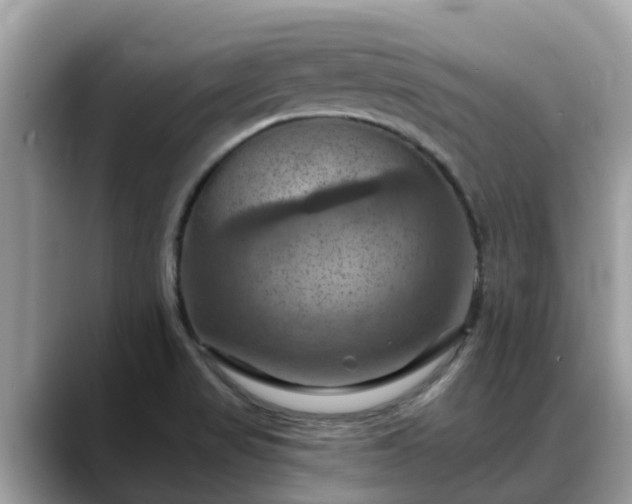 X0000088691517200706071509