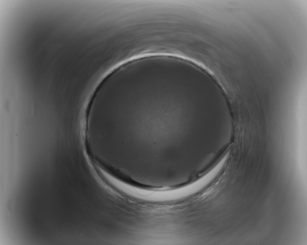 X0000088691519200706071509