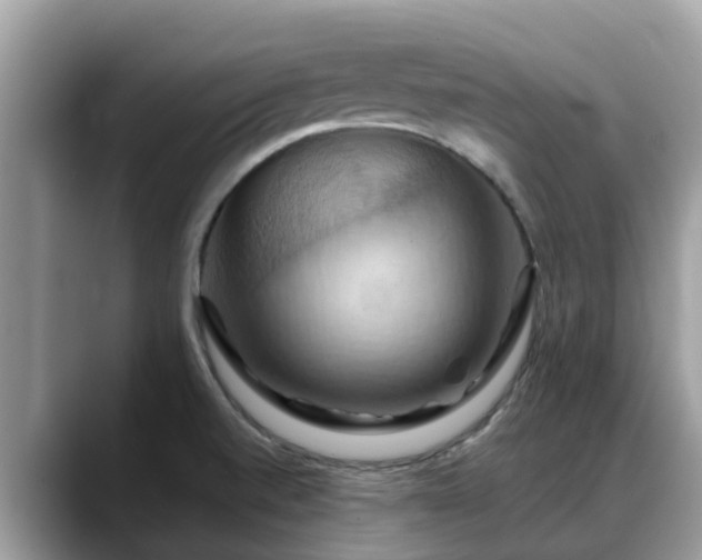 X0000088691520200706071509